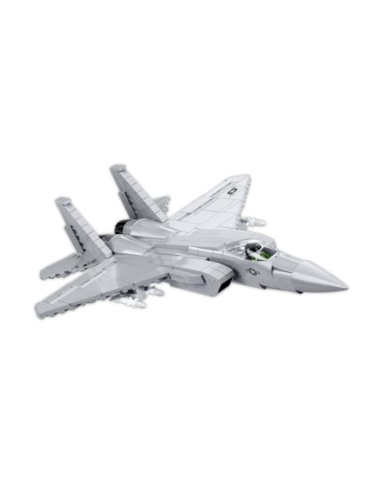 F-15 EAGLE COBI