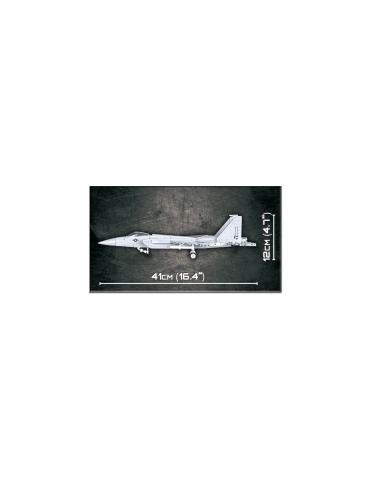 F-15 EAGLE COBI
