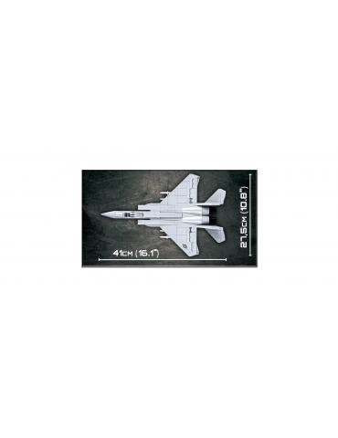 F-15 EAGLE COBI