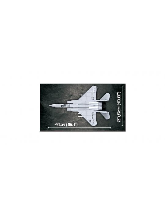 F-15 EAGLE COBI