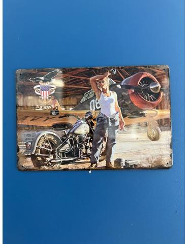 PLAQE METAL T-6 TEXAN