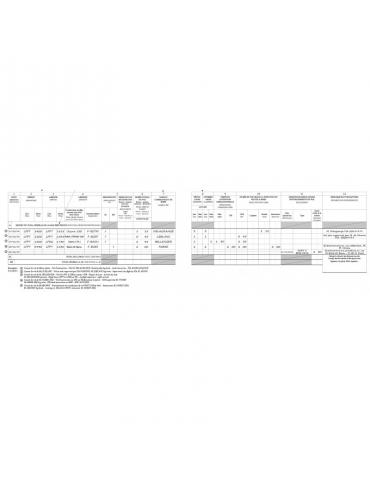 CARNET DE VOL EASA CEPADUES avion et ulm 3 axes