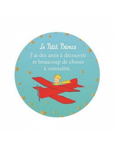 MAGNET LPP AVION DES AMIS A...