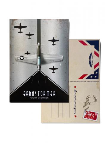 CARTE POSTALE MISS AVA BARNSTORMER