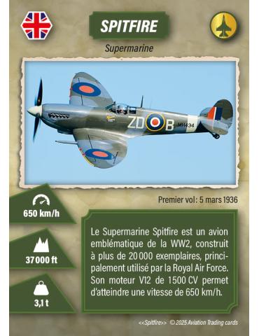CARTES AVIATION BOOSTER BUSINESS (10 cartes dont 1 légendaire)
