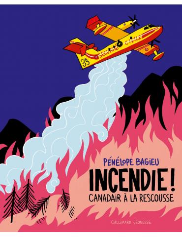 INCENDIE , CANADAIR À LA RESCOUSSE